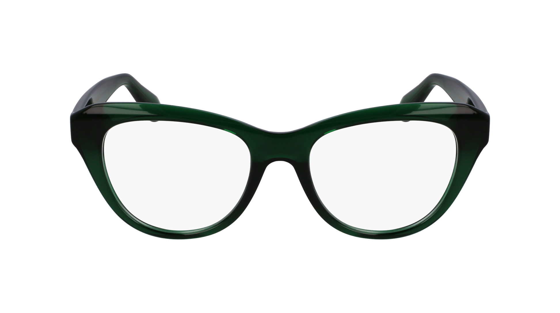 FERRAGAMO Eyeglasses SF2989E 317 51