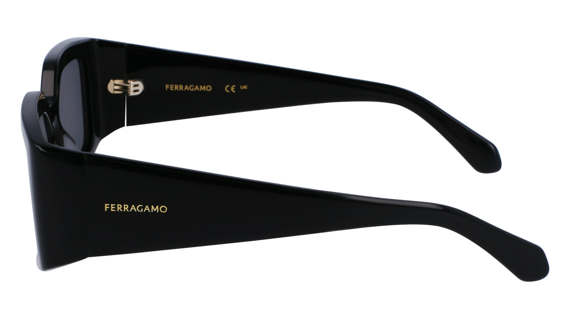 FERRAGAMO Sunglasses SF1101S 1 54