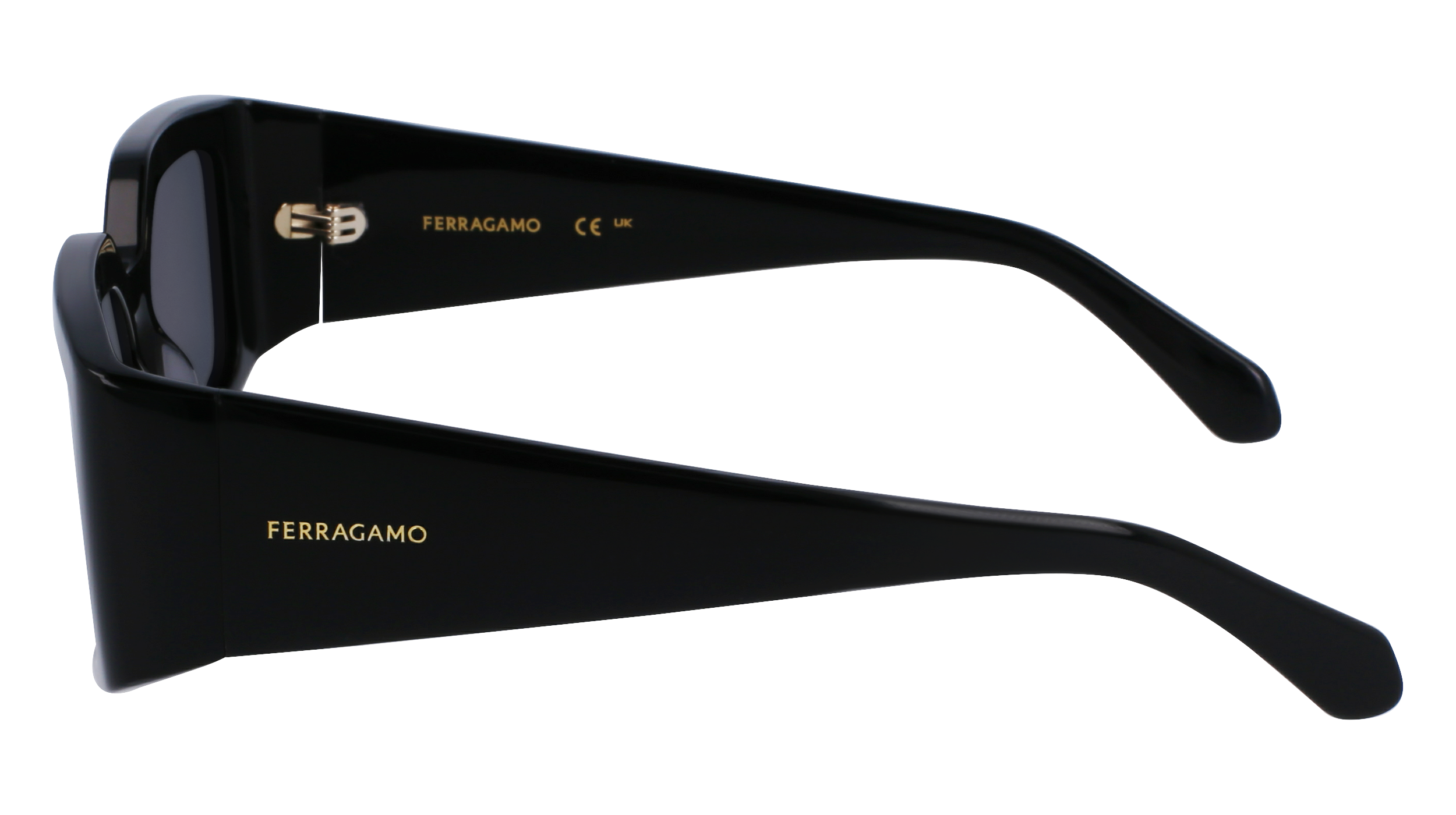 FERRAGAMO Sunglasses SF1101S 1 54