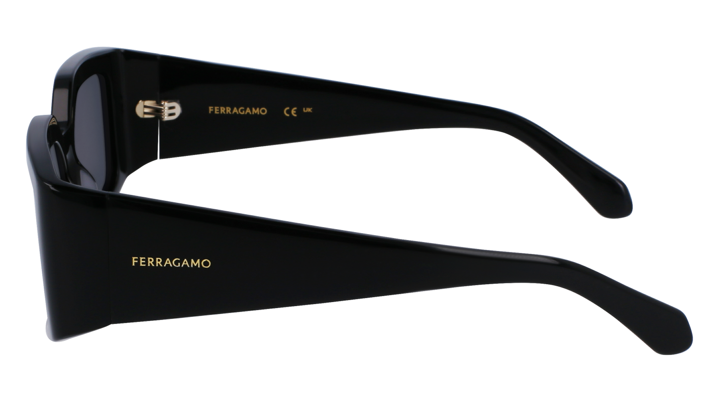 FERRAGAMO Sunglasses SF1101S 1 54