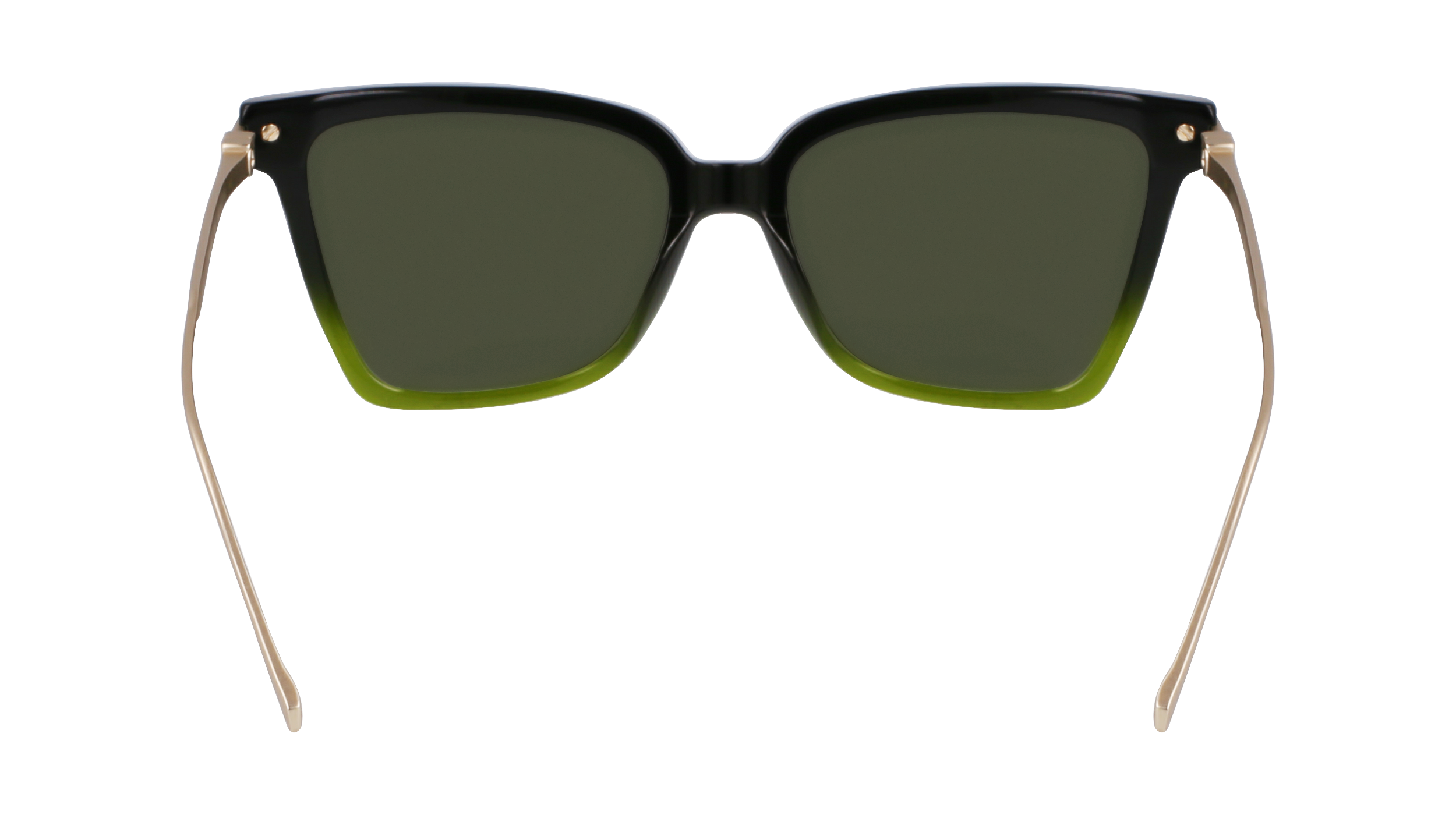 FERRAGAMO Sunglasses SF2036S 316 56