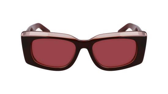 FERRAGAMO Sunglasses SF1079SN 211 54