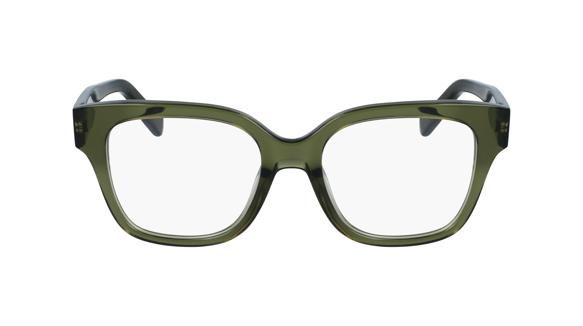 FERRAGAMO Eyeglasses SF2952N 320 53