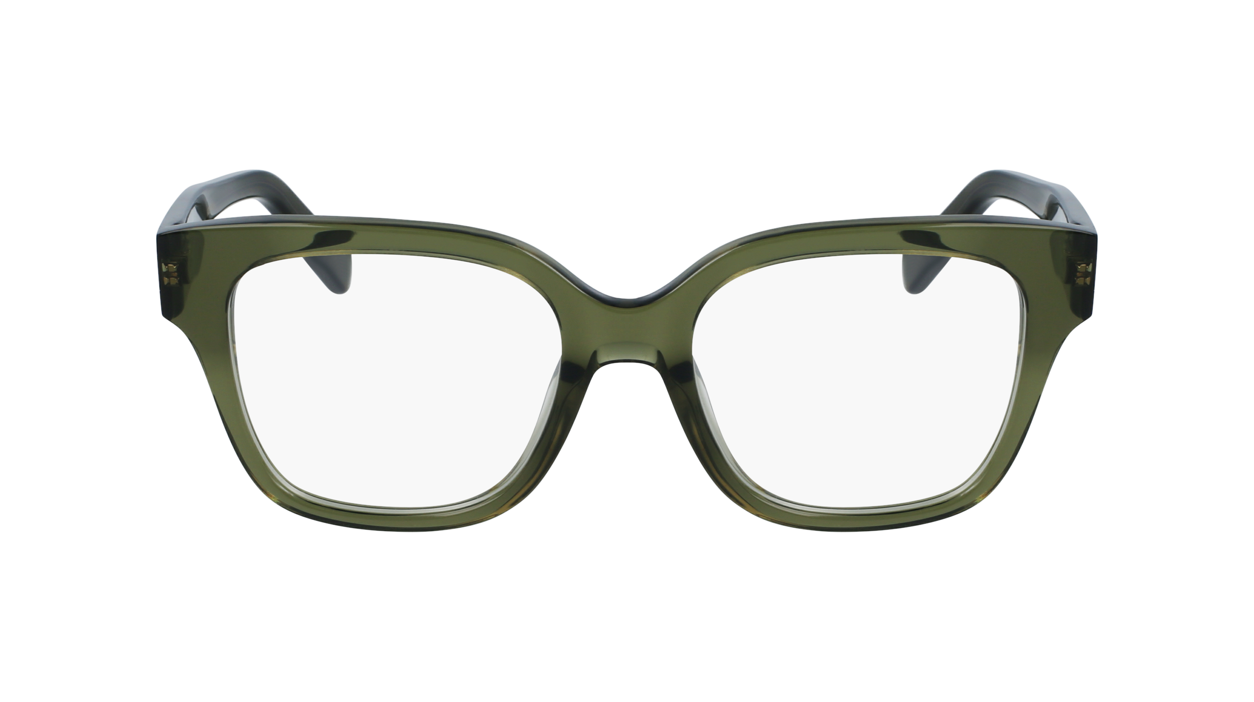 FERRAGAMO Eyeglasses SF2952N 320 53