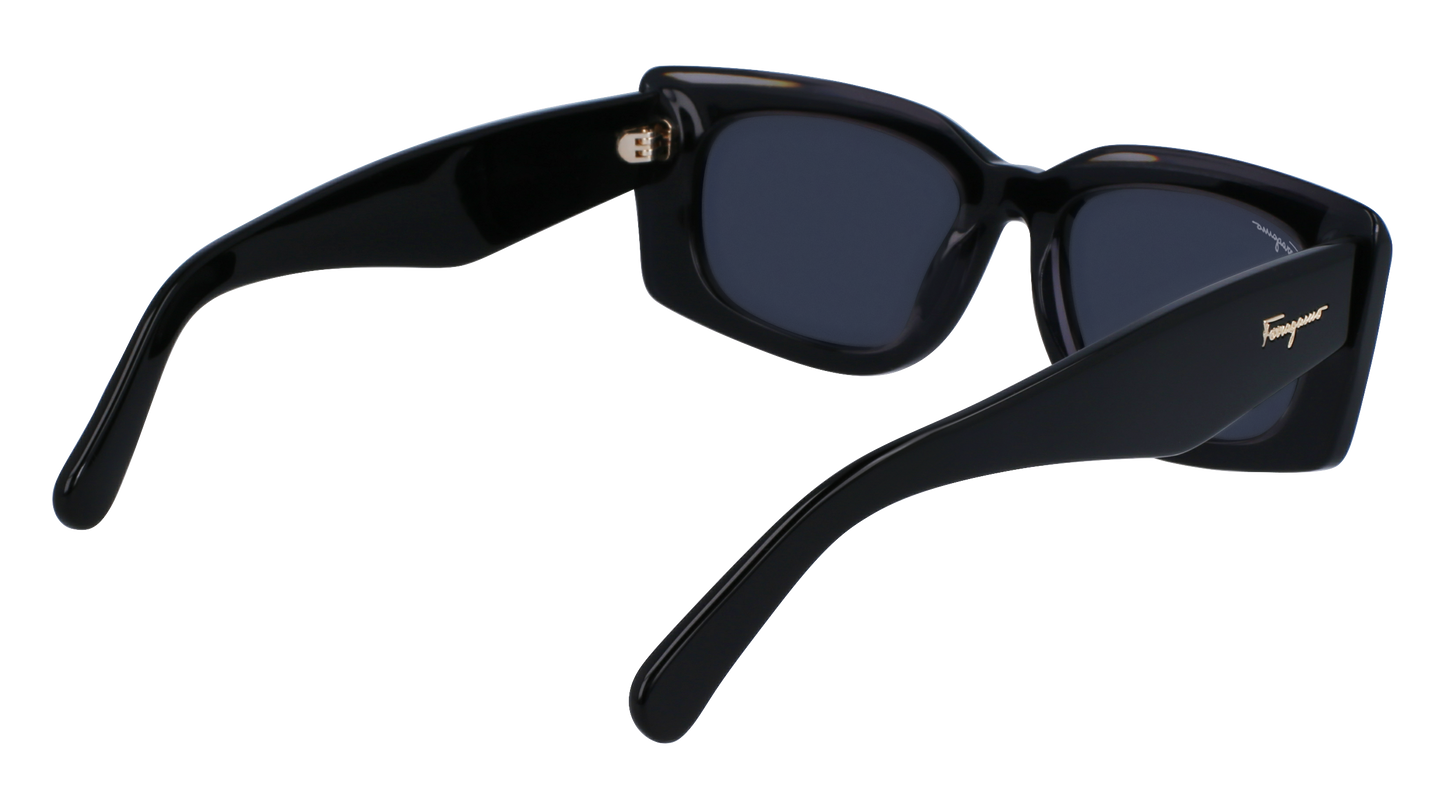 FERRAGAMO Sunglasses SF1079S 22 54