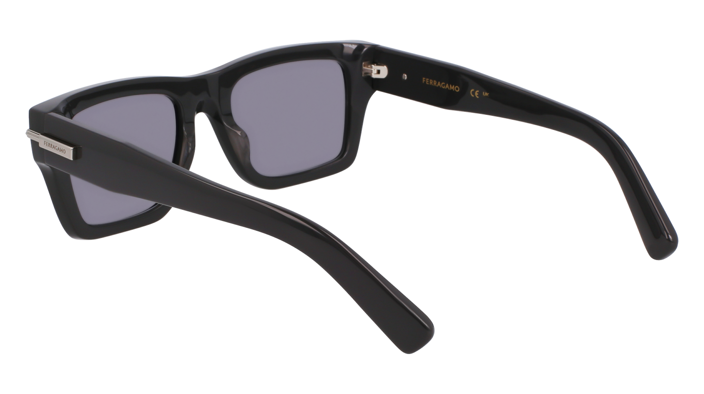 FERRAGAMO Sunglasses SF2033S 19 53