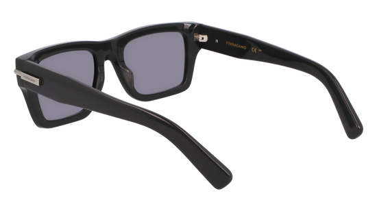 FERRAGAMO Sunglasses SF2033S 19 53