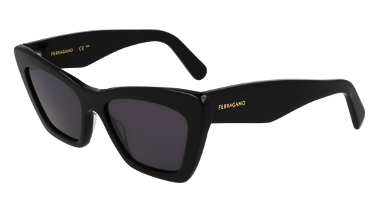 FERRAGAMO Sunglasses SF929SN 1 55