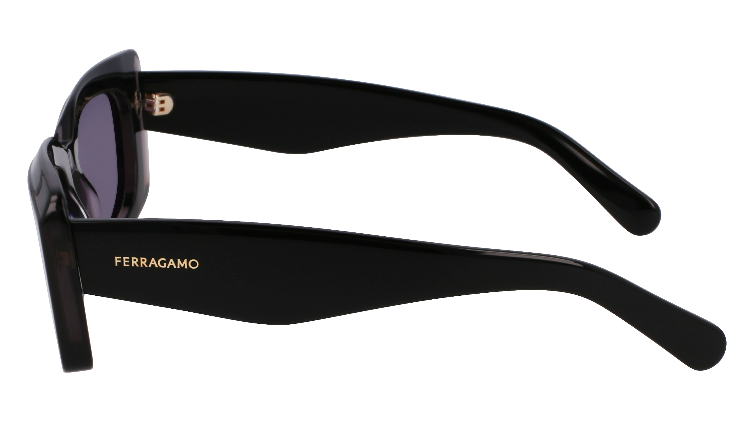 FERRAGAMO Sunglasses SF1079SN 22 54