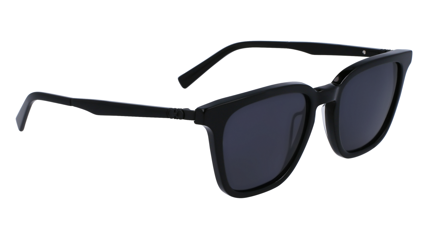 FERRAGAMO Sunglasses SF1100S 1 52