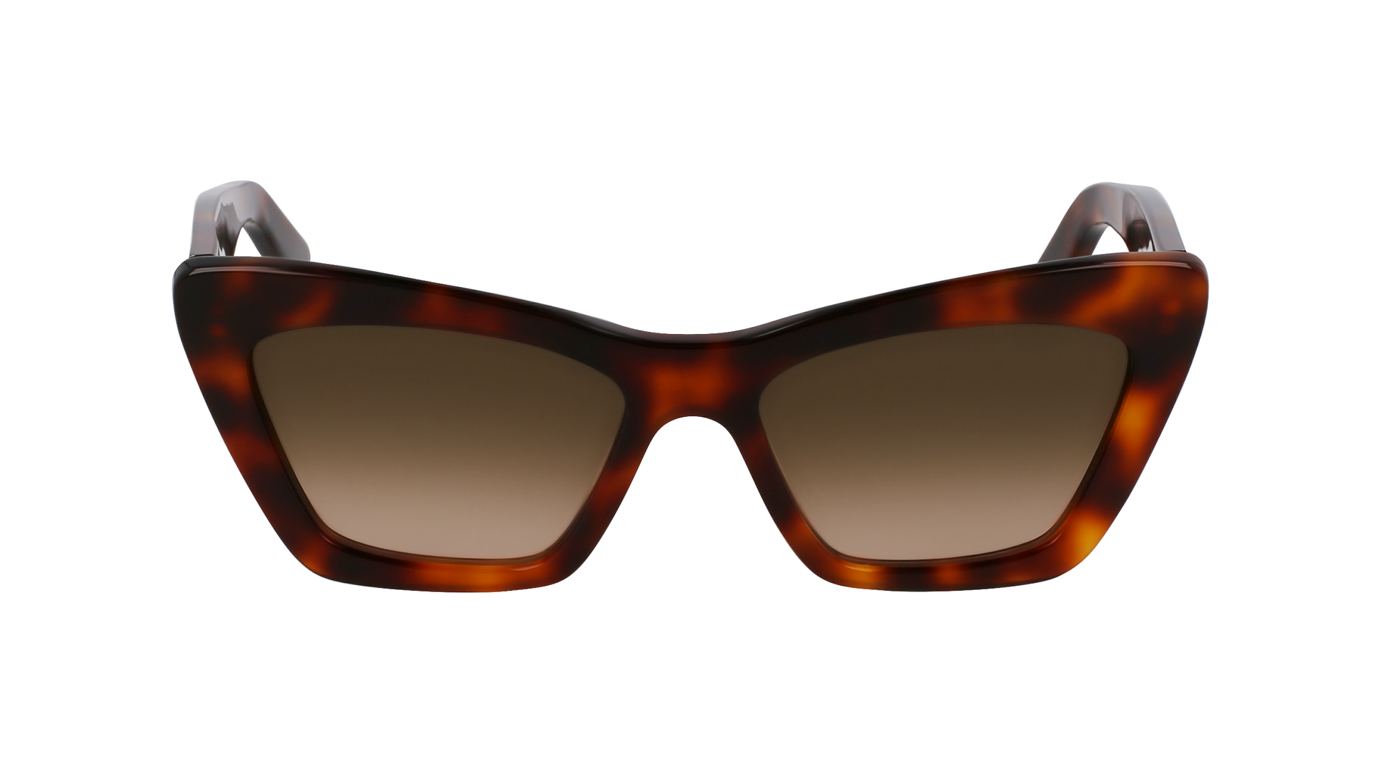 FERRAGAMO Sunglasses SF929SN 219 55