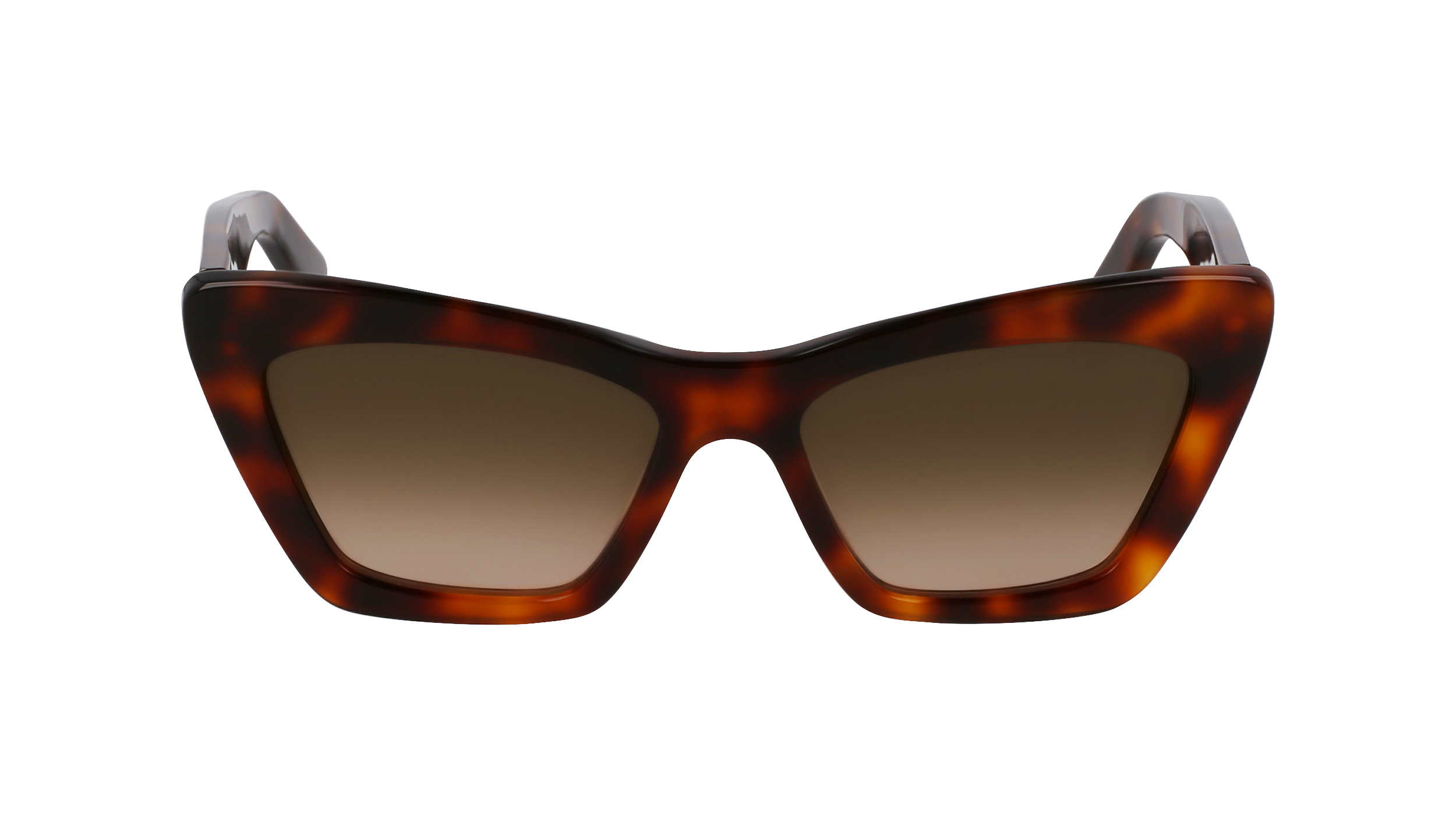 FERRAGAMO Sunglasses SF929SN 219 55