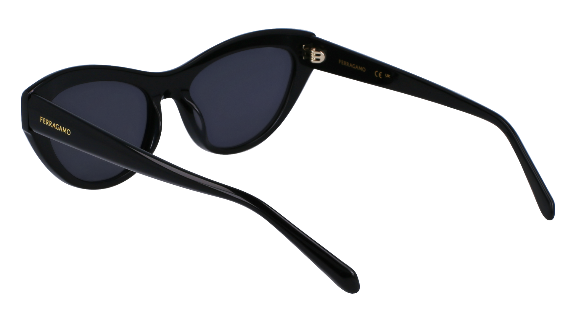 FERRAGAMO Sunglasses SF1103S 1 55