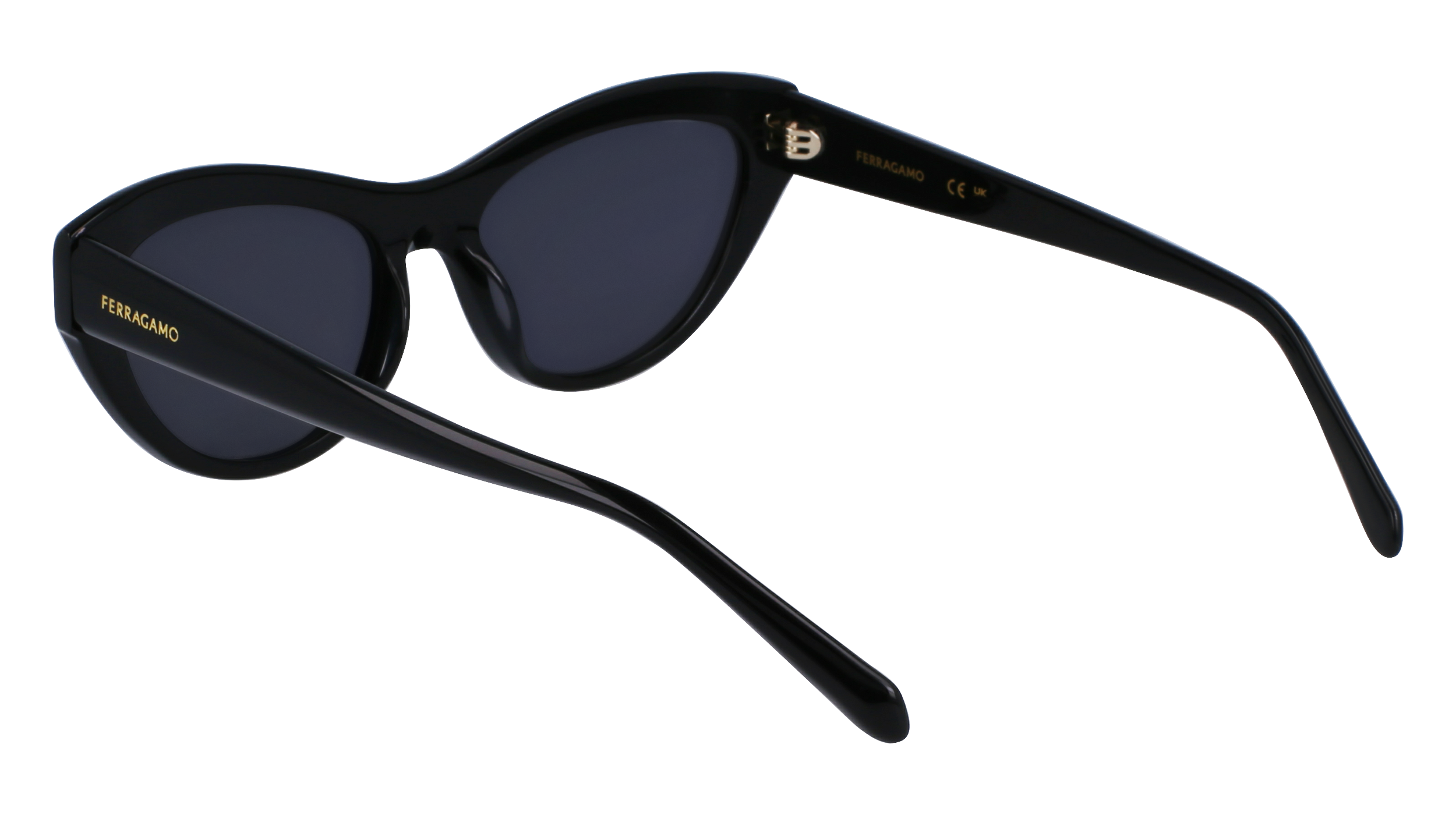 FERRAGAMO Sunglasses SF1103S 1 55
