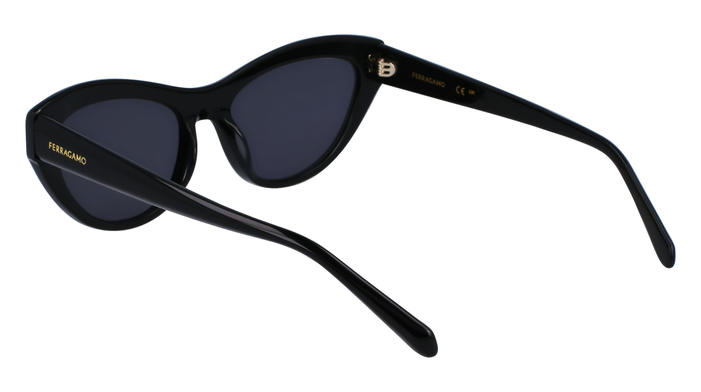 FERRAGAMO Sunglasses SF1103S 1 55