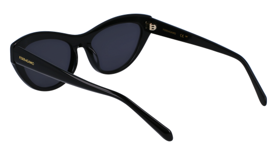 FERRAGAMO Sunglasses SF1103S 1 55