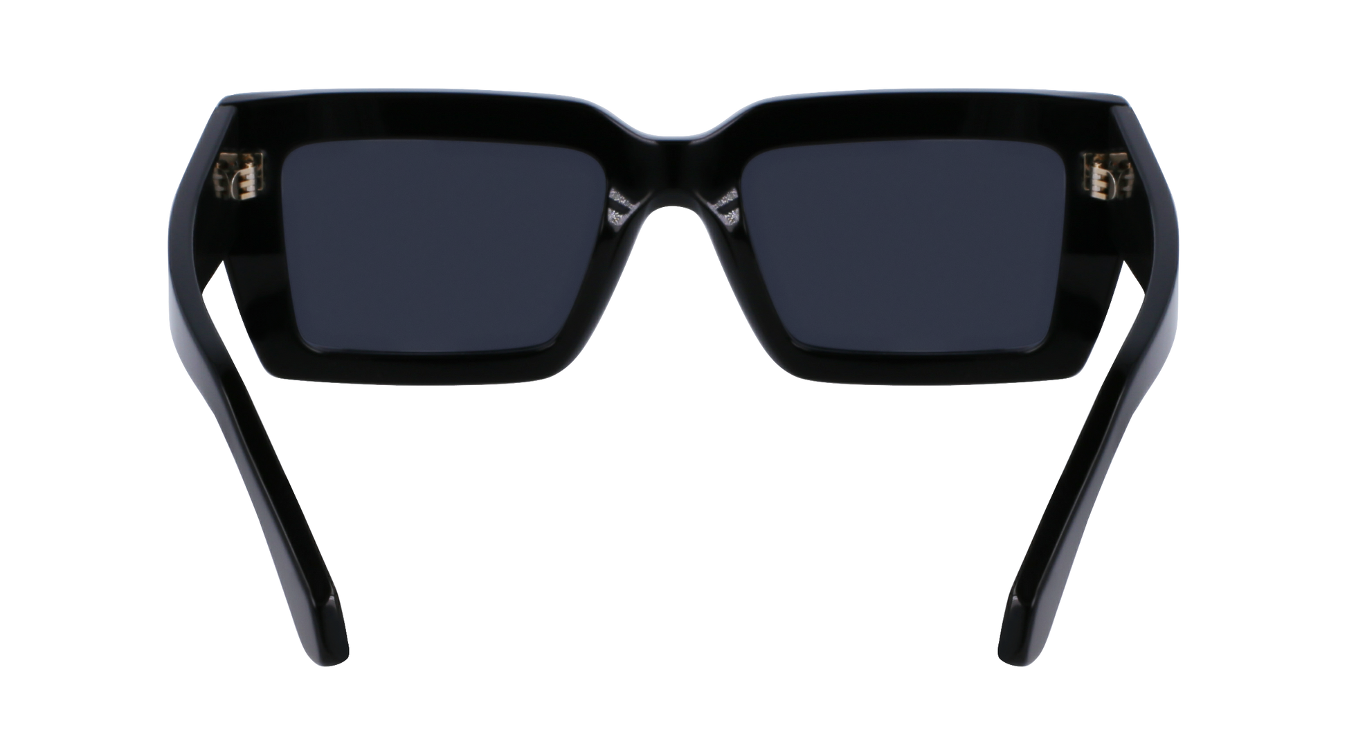 FERRAGAMO Sunglasses SF1108S 1 54