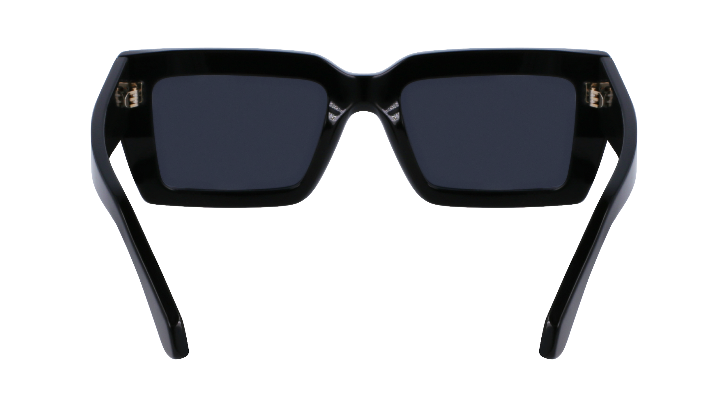 FERRAGAMO Sunglasses SF1108S 1 54