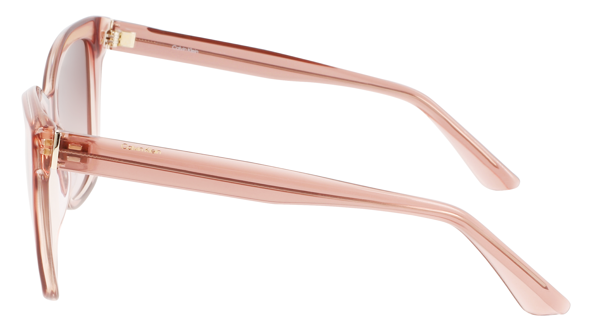 CALVIN KLEIN Sunglasses CK22530S 601 53