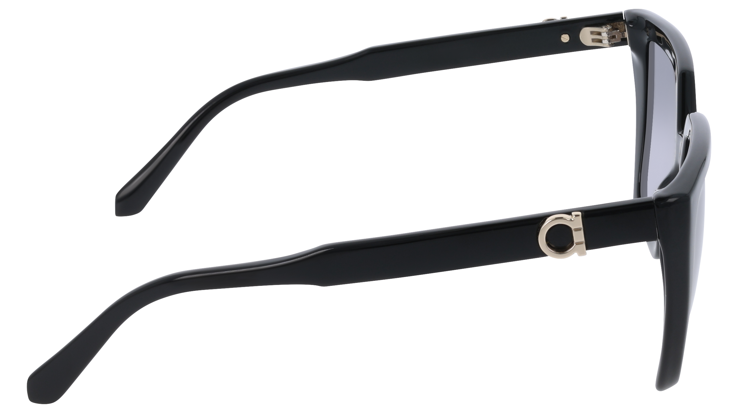 Ferragamo SF2058SE 1