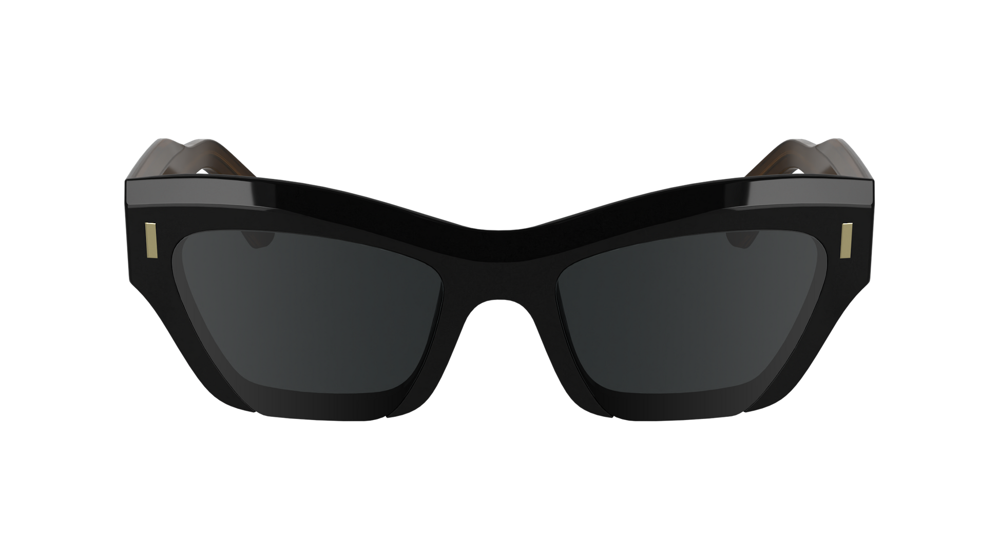 CALVIN KLEIN Sunglasses CK24531S 1 53