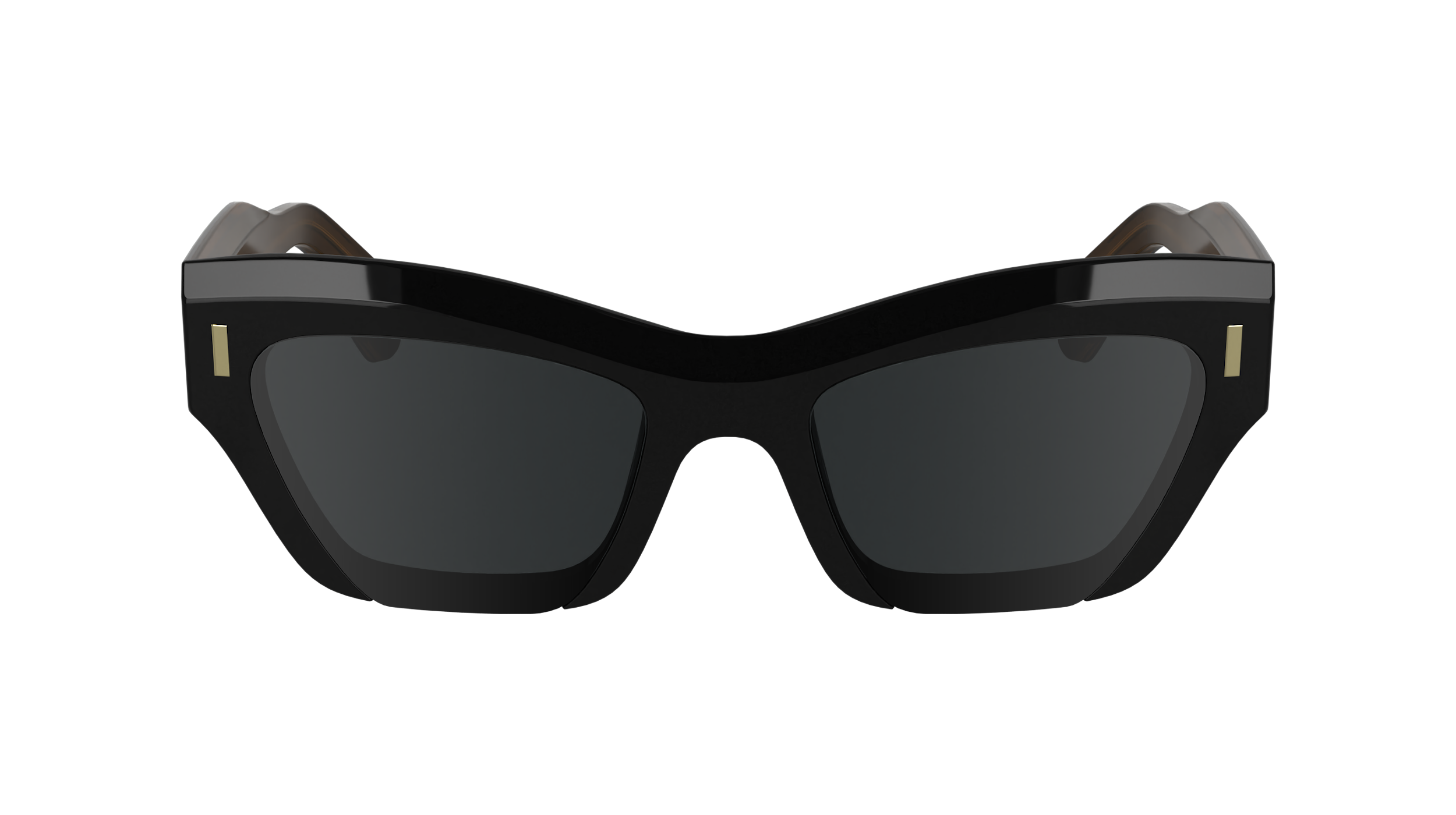 CALVIN KLEIN Sunglasses CK24531S 1 53