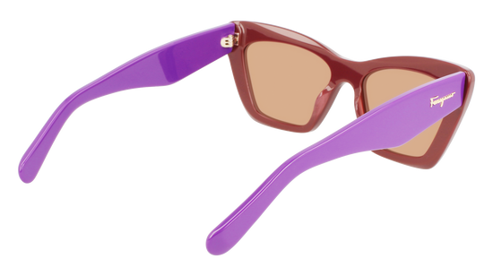 FERRAGAMO Sunglasses SF929S 209 55