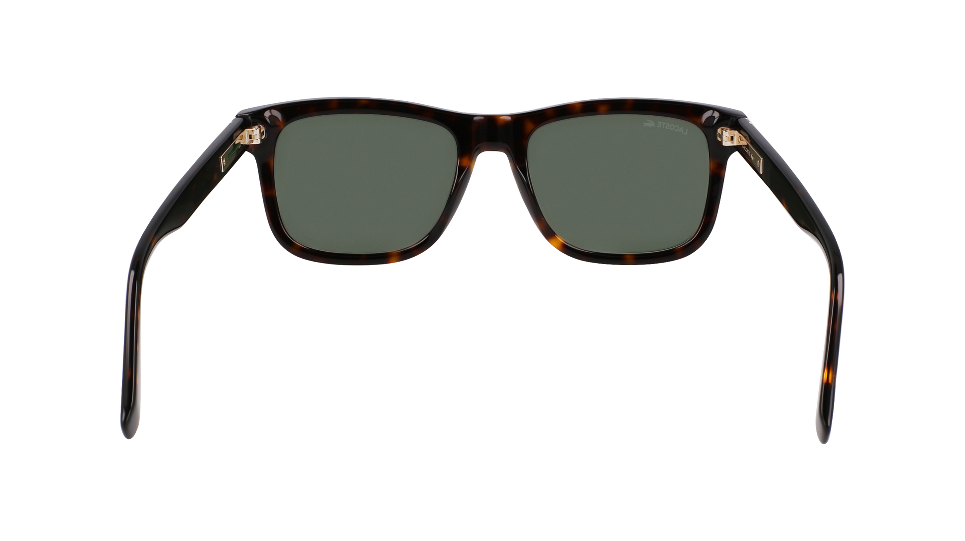 LACOSTE Sunglasses L6014S 230 55