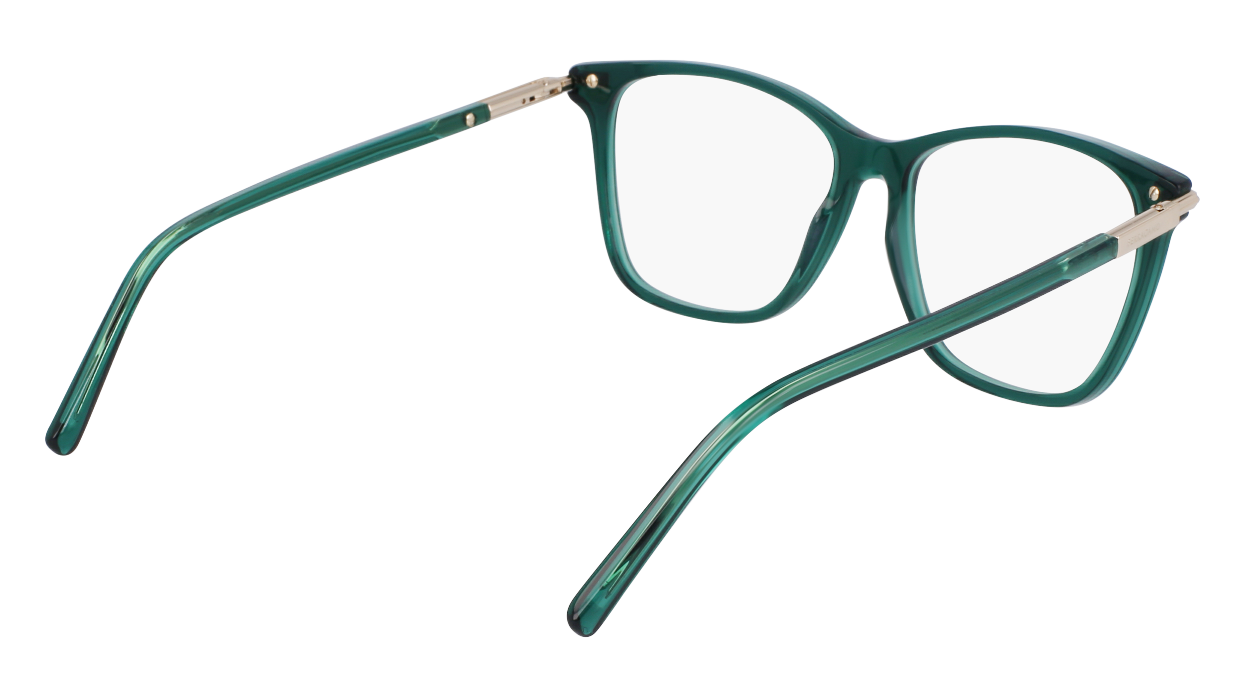 FERRAGAMO Eyeglasses SF3013 317 53