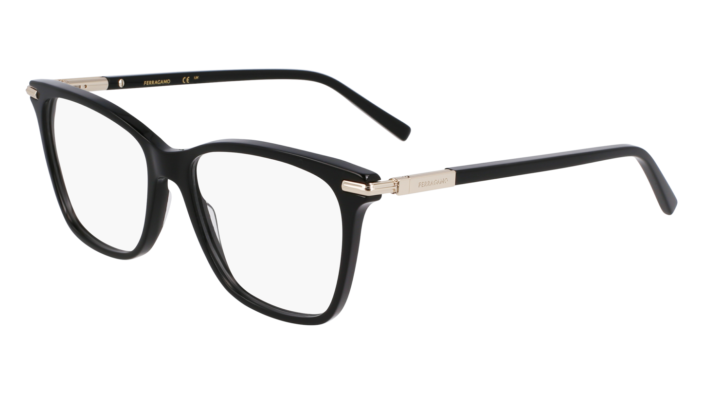 FERRAGAMO Eyeglasses SF3013 1 55