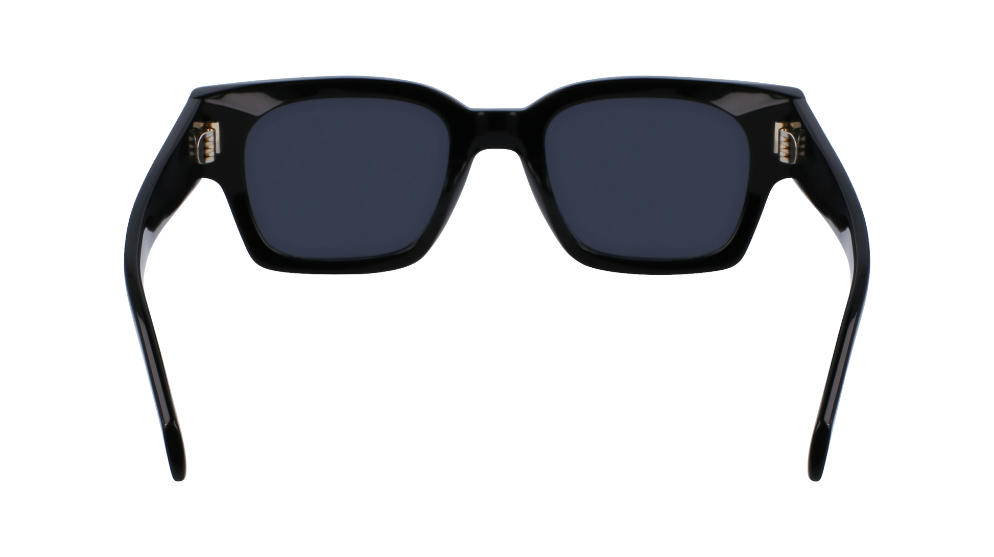 FERRAGAMO Sunglasses SF2010S 1 52