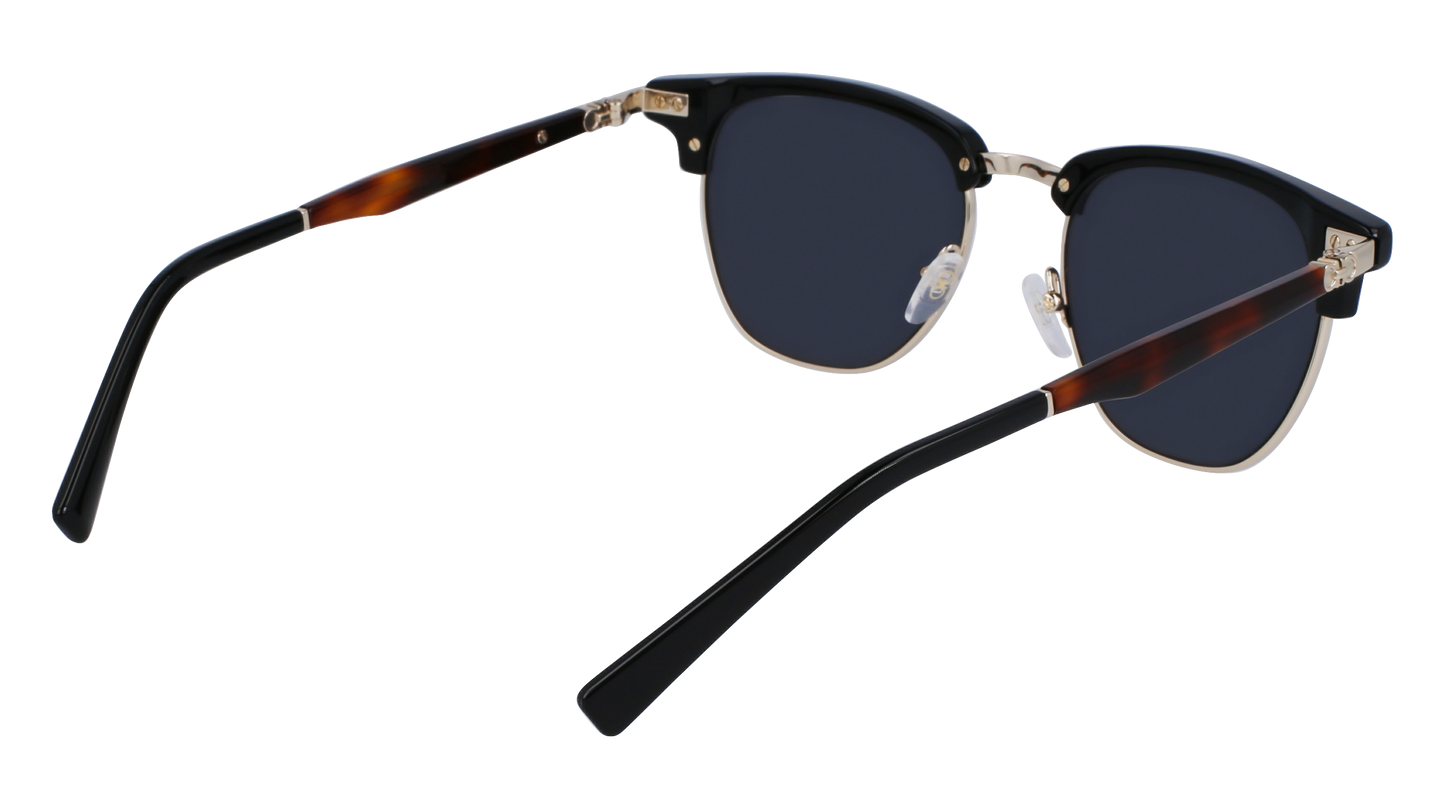 FERRAGAMO Sunglasses SF307S 11 53