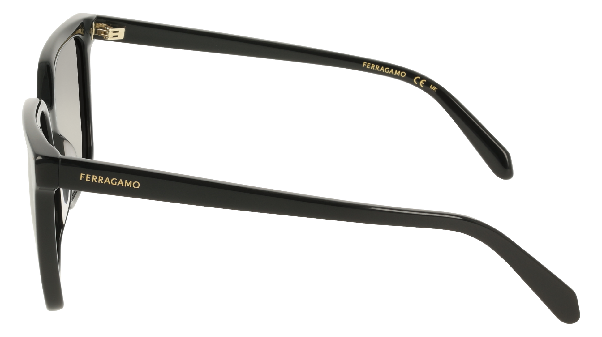 Ferragamo SF2102S 1