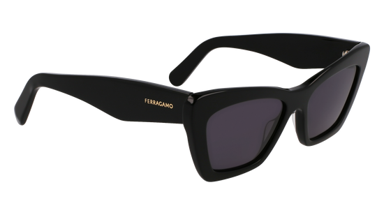 FERRAGAMO Sunglasses SF929SN 1 55