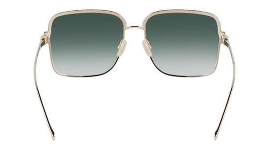 FERRAGAMO Sunglasses SF317S 750 57