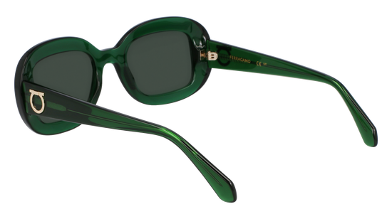 FERRAGAMO Sunglasses SF2038SE 317 51