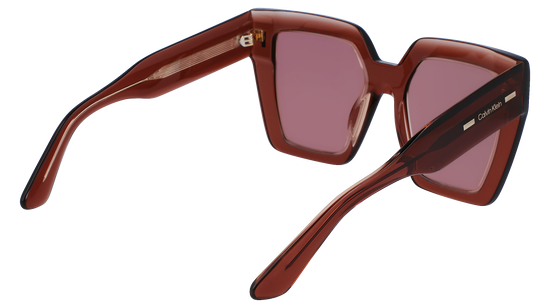 CALVIN KLEIN Sunglasses CK23502S 601 52