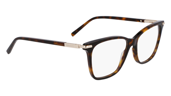 FERRAGAMO Eyeglasses SF3013 242 53