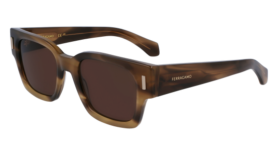 FERRAGAMO Sunglasses SF2010S 319 52