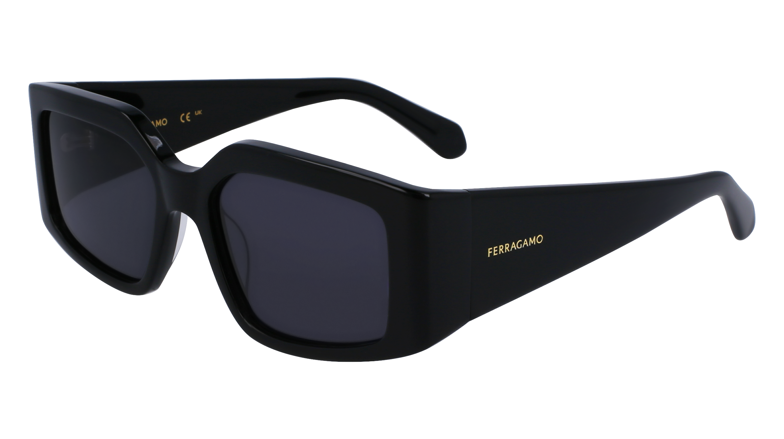 FERRAGAMO Sunglasses SF1101S 1 54