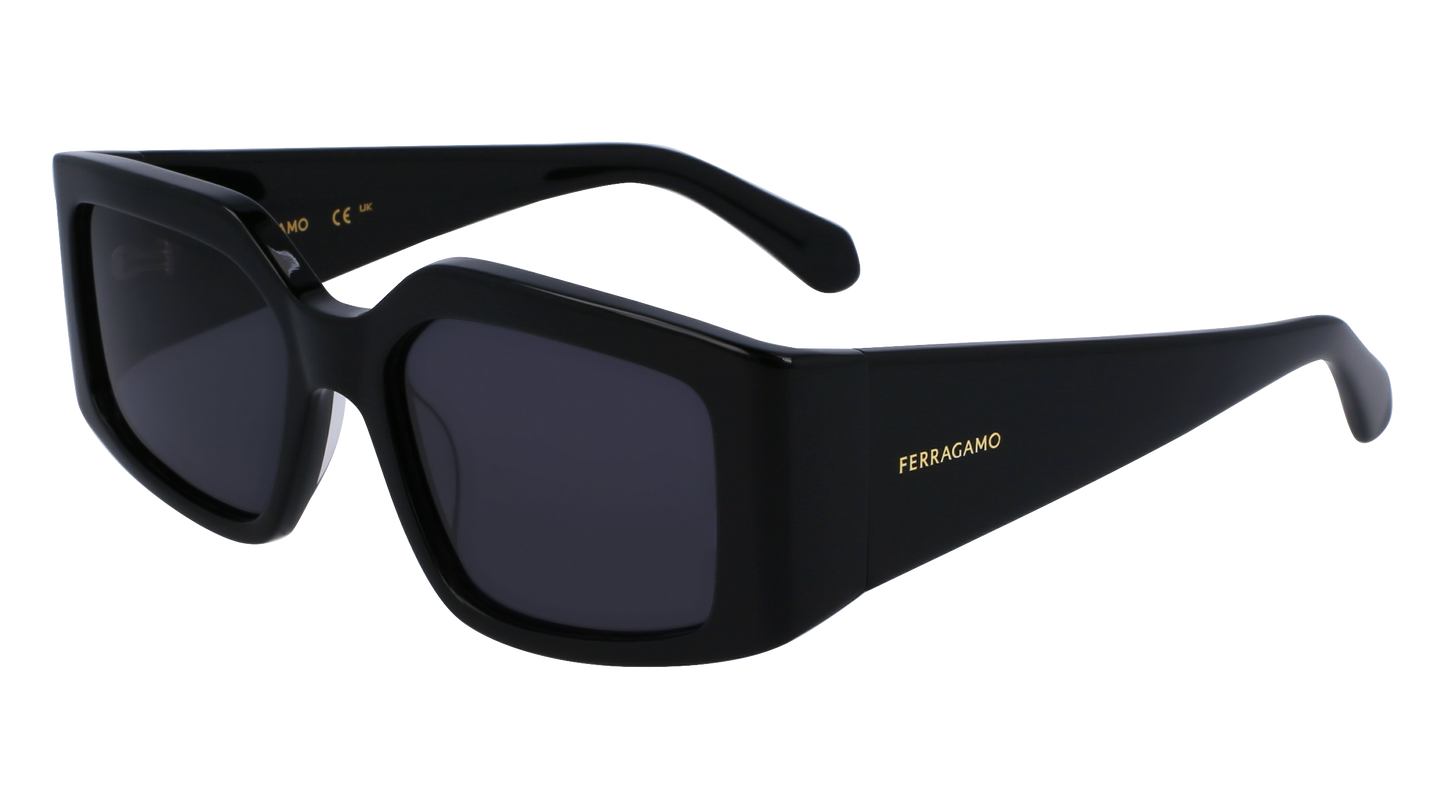 FERRAGAMO Sunglasses SF1101S 1 54