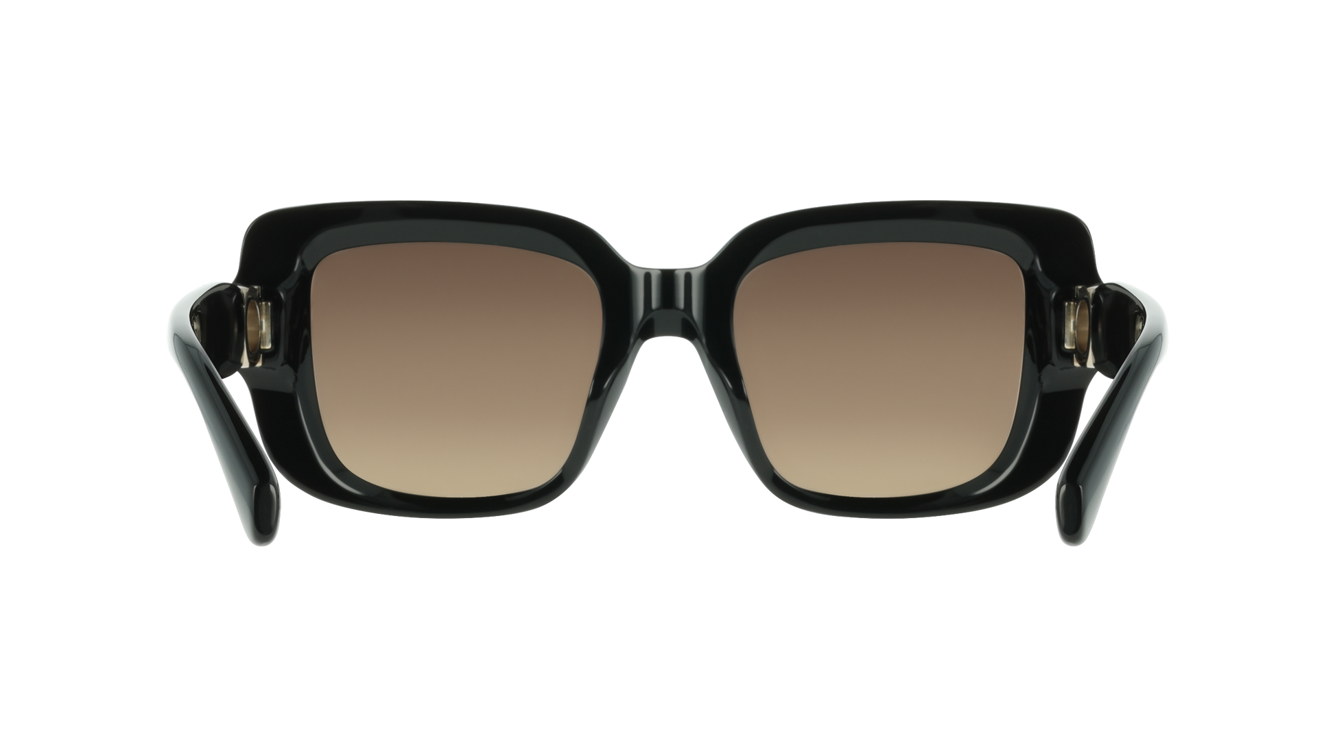 Ferragamo SF2117S 1