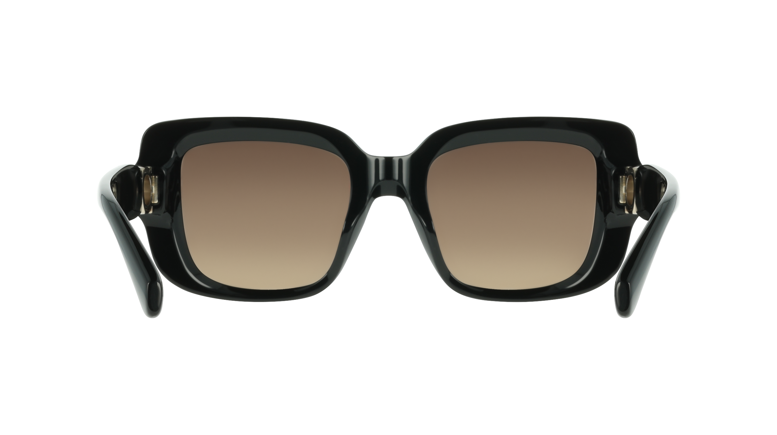 Ferragamo SF2117S 1