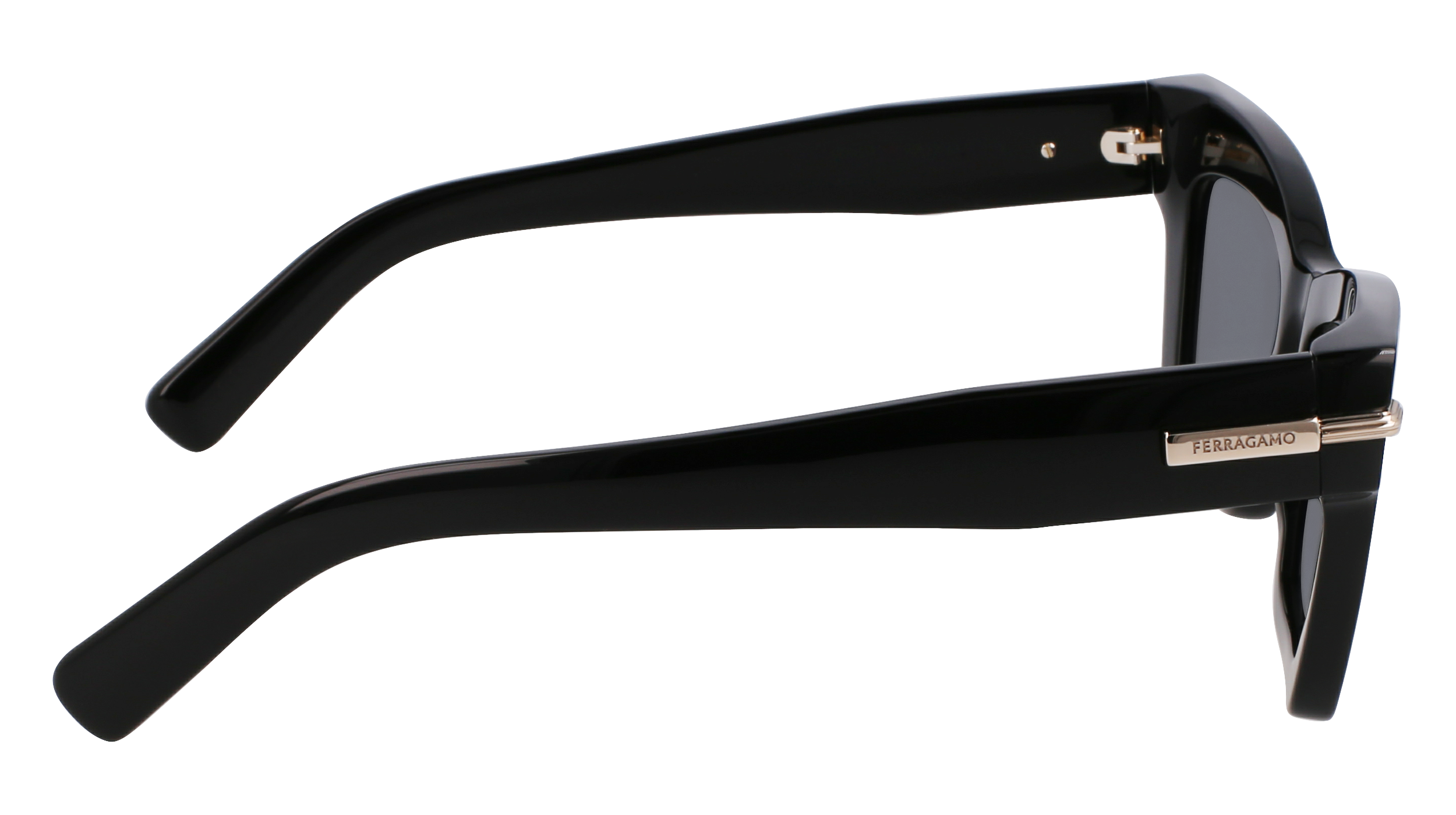 FERRAGAMO Sunglasses SF2031S 1 52