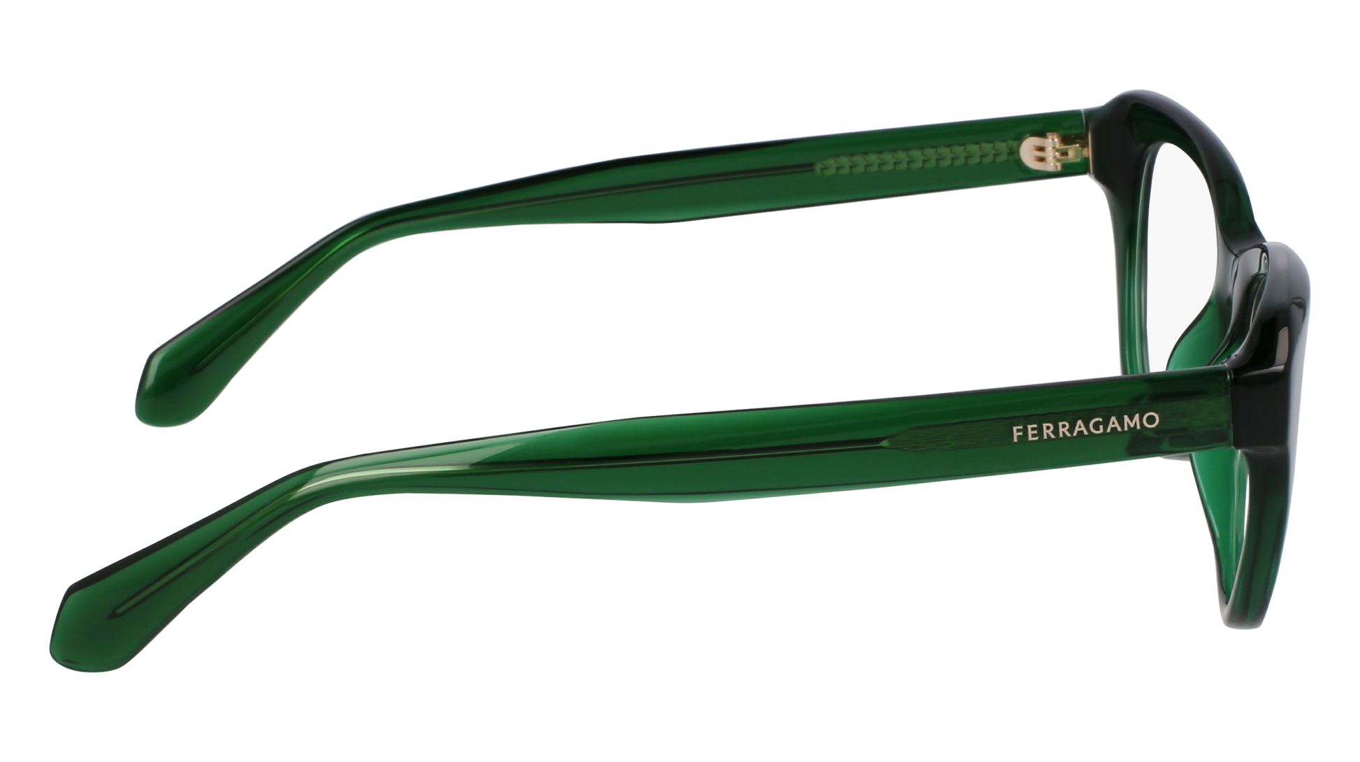 FERRAGAMO Eyeglasses SF2989E 317 51