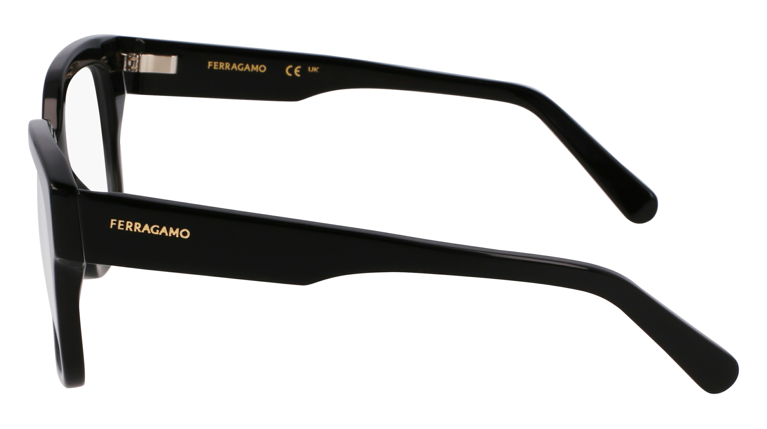 FERRAGAMO Eyeglasses SF2952N 1 53