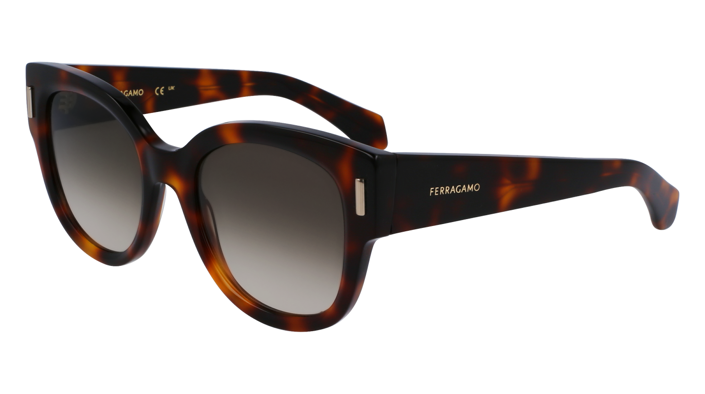 FERRAGAMO Sunglasses SF2007S 240 51