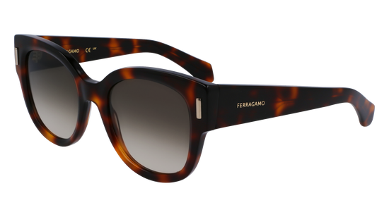 FERRAGAMO Sunglasses SF2007S 240 51