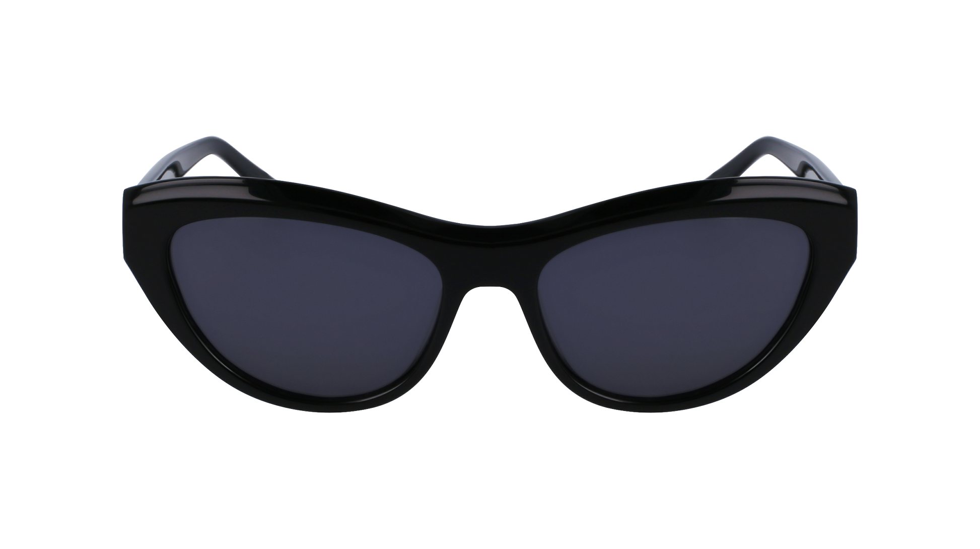 FERRAGAMO Sunglasses SF1103S 1 55