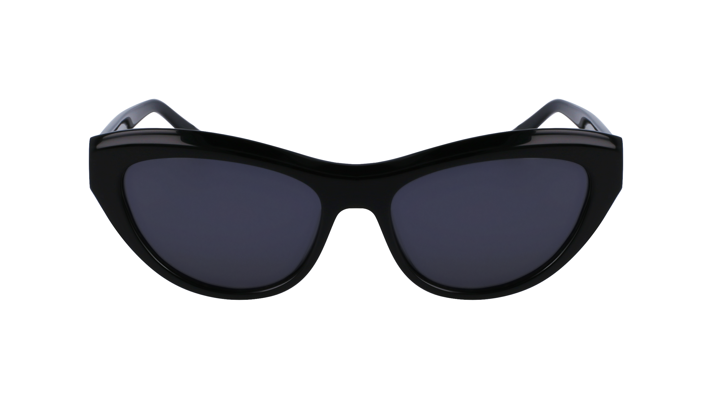 FERRAGAMO Sunglasses SF1103S 1 55